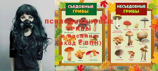 герыч Каменногорск