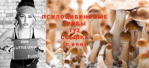 мдма Каменка