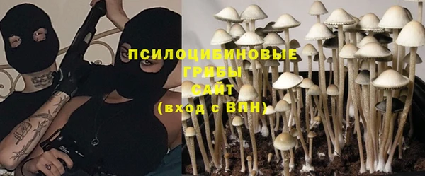 герыч Каменногорск