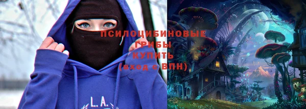 МДПВ Карталы