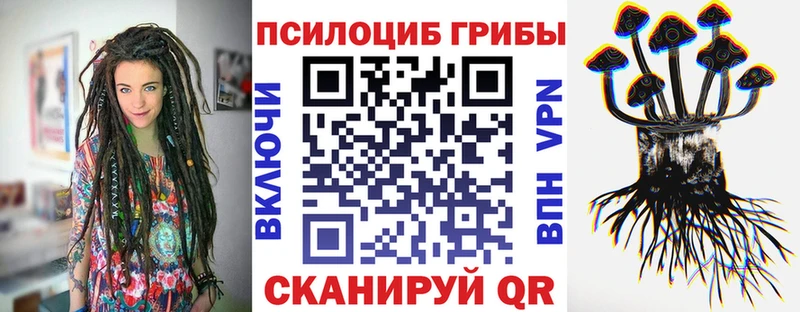 Галлюциногенные грибы GOLDEN TEACHER  Купить  Краснослободск 