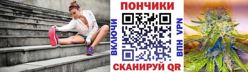 Купить закладки  Краснослободск  Бошки Шишки семена 